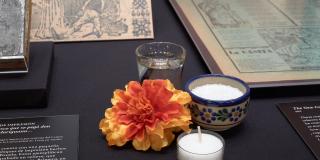 close-up photograph of ofrenda inside case. ofrenda includes a marigold flower, a votive candle, a bowl of salt and a shotglass of tequila