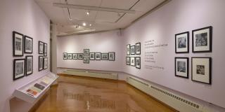 Installation view of lavender gallery walls with black framed b/w photos dotting two walls