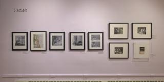 Installation view of a lavender gallery wall with black framed b/w photos