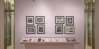 Installation view of lavender gallery walls two grids of black framed photos and a hanging case below with archival items like books, correspondence and photos