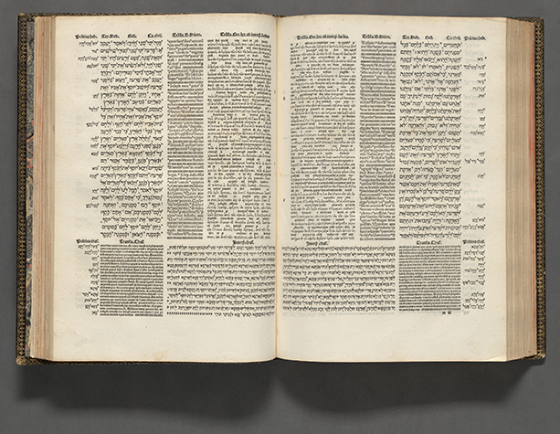 An open book featuring a two-page spread of various multilingual text blocks