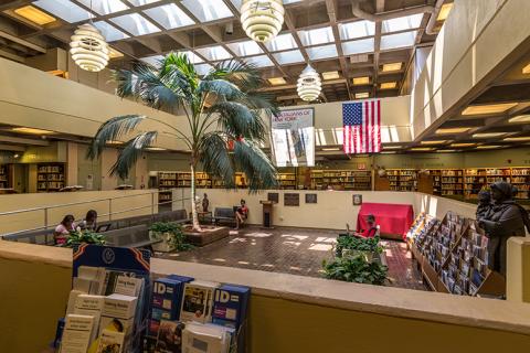 Interior view of Belmont Library 