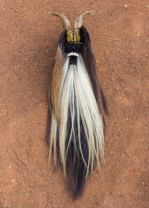 Color photo of a long-haired mask laying on the ground in coral color sand