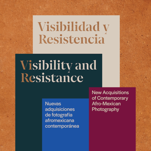 Visibilidad y Resistencia exhibition title card.